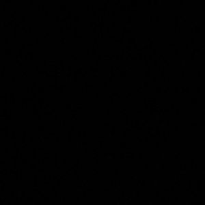 Meet your Posher, Nidia